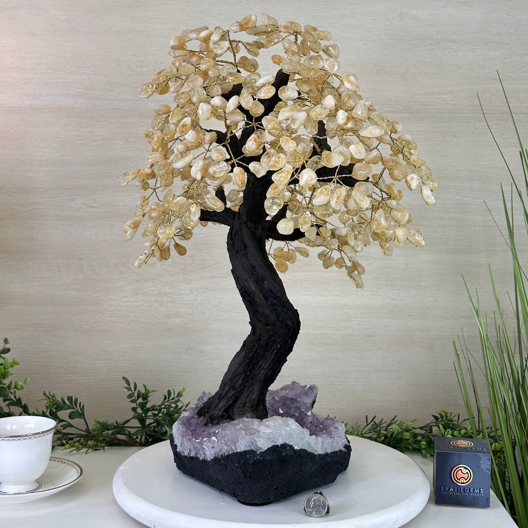 21.75" Tall Citrine Gemstone Tree on an Amethyst Base, 540 gems #5406CI - 022 - Brazil GemsBrazil Gems21.75" Tall Citrine Gemstone Tree on an Amethyst Base, 540 gems #5406CI - 022Gemstone Trees5406CI - 022