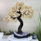 21.75" Tall Citrine Gemstone Tree on an Amethyst Base, 540 gems #5406CI - 022 - Brazil GemsBrazil Gems21.75" Tall Citrine Gemstone Tree on an Amethyst Base, 540 gems #5406CI - 022Gemstone Trees5406CI - 022