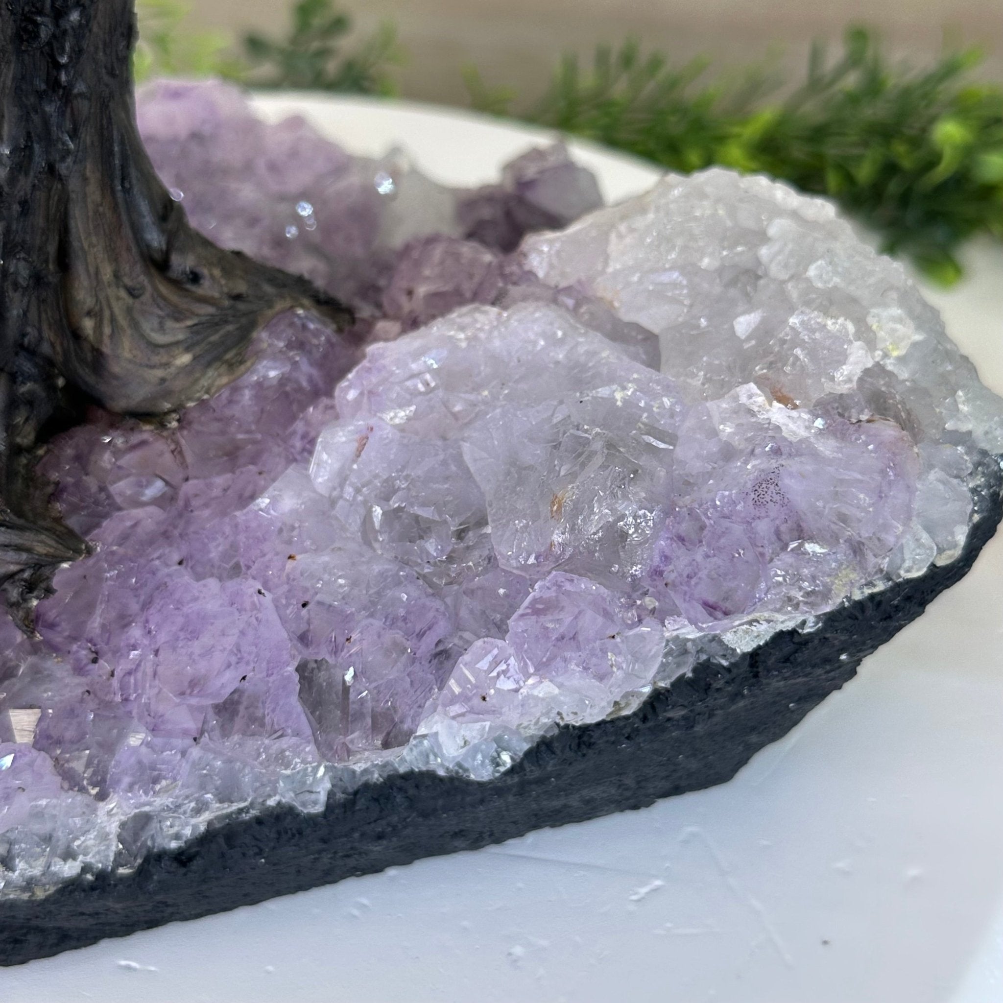 21.75" Tall Citrine Gemstone Tree on an Amethyst Base, 540 gems #5406CI - 022 - Brazil GemsBrazil Gems21.75" Tall Citrine Gemstone Tree on an Amethyst Base, 540 gems #5406CI - 022Gemstone Trees5406CI - 022