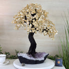 21.75" Tall Citrine Gemstone Tree on an Amethyst Base, 540 gems #5406CI - 022 - Brazil GemsBrazil Gems21.75" Tall Citrine Gemstone Tree on an Amethyst Base, 540 gems #5406CI - 022Gemstone Trees5406CI - 022