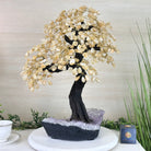 21.75" Tall Citrine Gemstone Tree on an Amethyst Base, 540 gems #5406CI - 022 - Brazil GemsBrazil Gems21.75" Tall Citrine Gemstone Tree on an Amethyst Base, 540 gems #5406CI - 022Gemstone Trees5406CI - 022