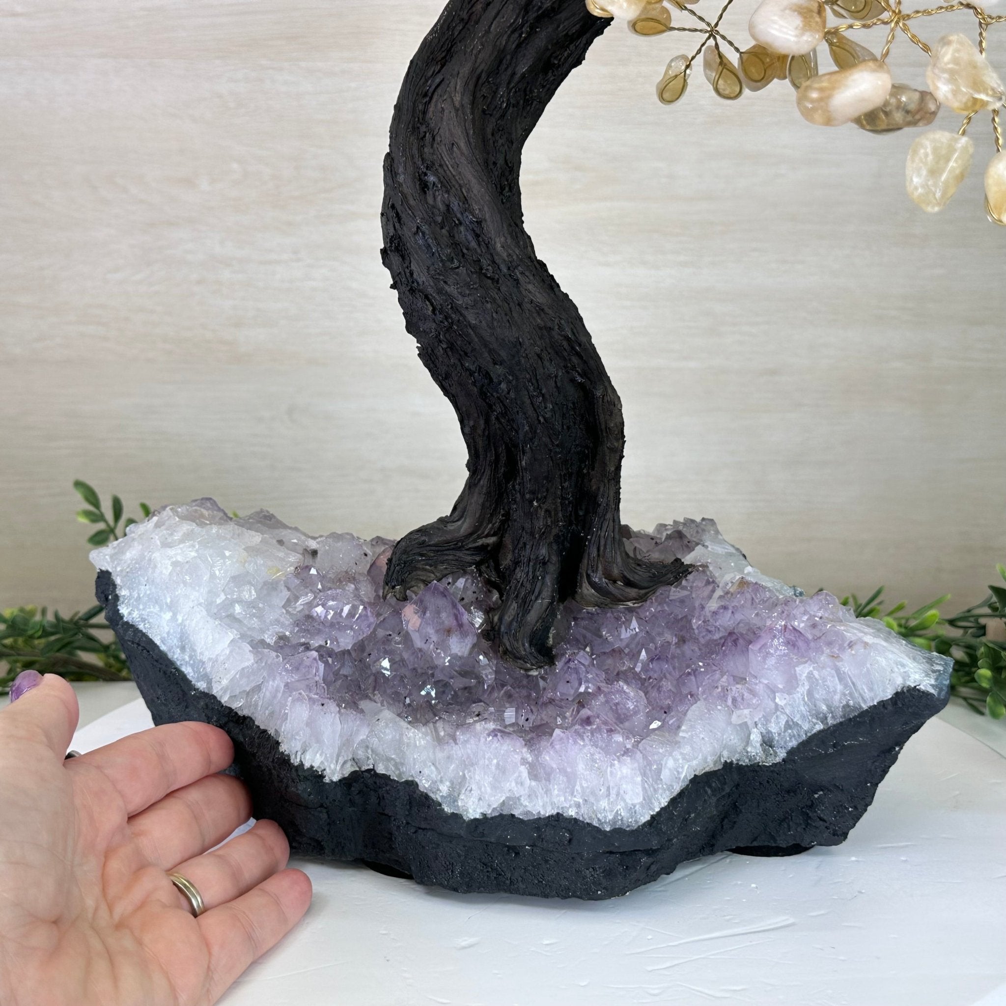 21.75" Tall Citrine Gemstone Tree on an Amethyst Base, 540 gems #5406CI - 022 - Brazil GemsBrazil Gems21.75" Tall Citrine Gemstone Tree on an Amethyst Base, 540 gems #5406CI - 022Gemstone Trees5406CI - 022