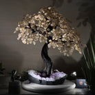 21.75" Tall Citrine Gemstone Tree on an Amethyst Base, 540 gems #5406CI - 022 - Brazil GemsBrazil Gems21.75" Tall Citrine Gemstone Tree on an Amethyst Base, 540 gems #5406CI - 022Gemstone Trees5406CI - 022