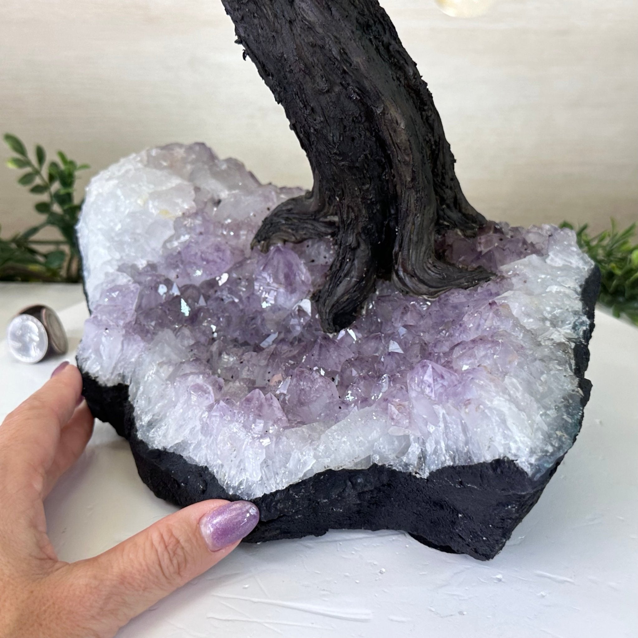 21.75" Tall Citrine Gemstone Tree on an Amethyst Base, 540 gems #5406CI - 022 - Brazil GemsBrazil Gems21.75" Tall Citrine Gemstone Tree on an Amethyst Base, 540 gems #5406CI - 022Gemstone Trees5406CI - 022