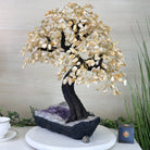 21.75" Tall Citrine Gemstone Tree on an Amethyst Base, 540 gems #5406CI - 023 - Brazil GemsBrazil Gems21.75" Tall Citrine Gemstone Tree on an Amethyst Base, 540 gems #5406CI - 023Gemstone Trees5406CI - 023