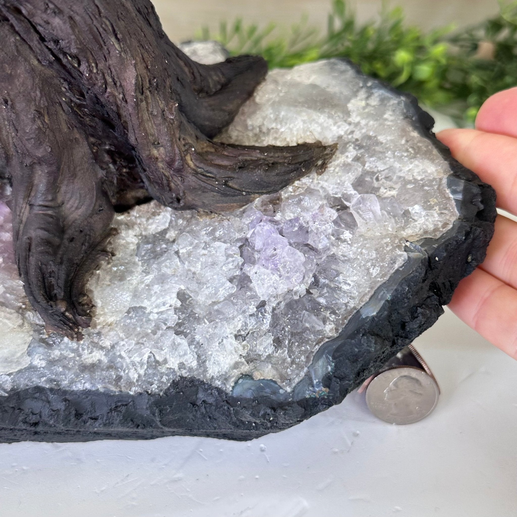 21.75" Tall Citrine Gemstone Tree on an Amethyst Base, 540 gems #5406CI - 023 - Brazil GemsBrazil Gems21.75" Tall Citrine Gemstone Tree on an Amethyst Base, 540 gems #5406CI - 023Gemstone Trees5406CI - 023