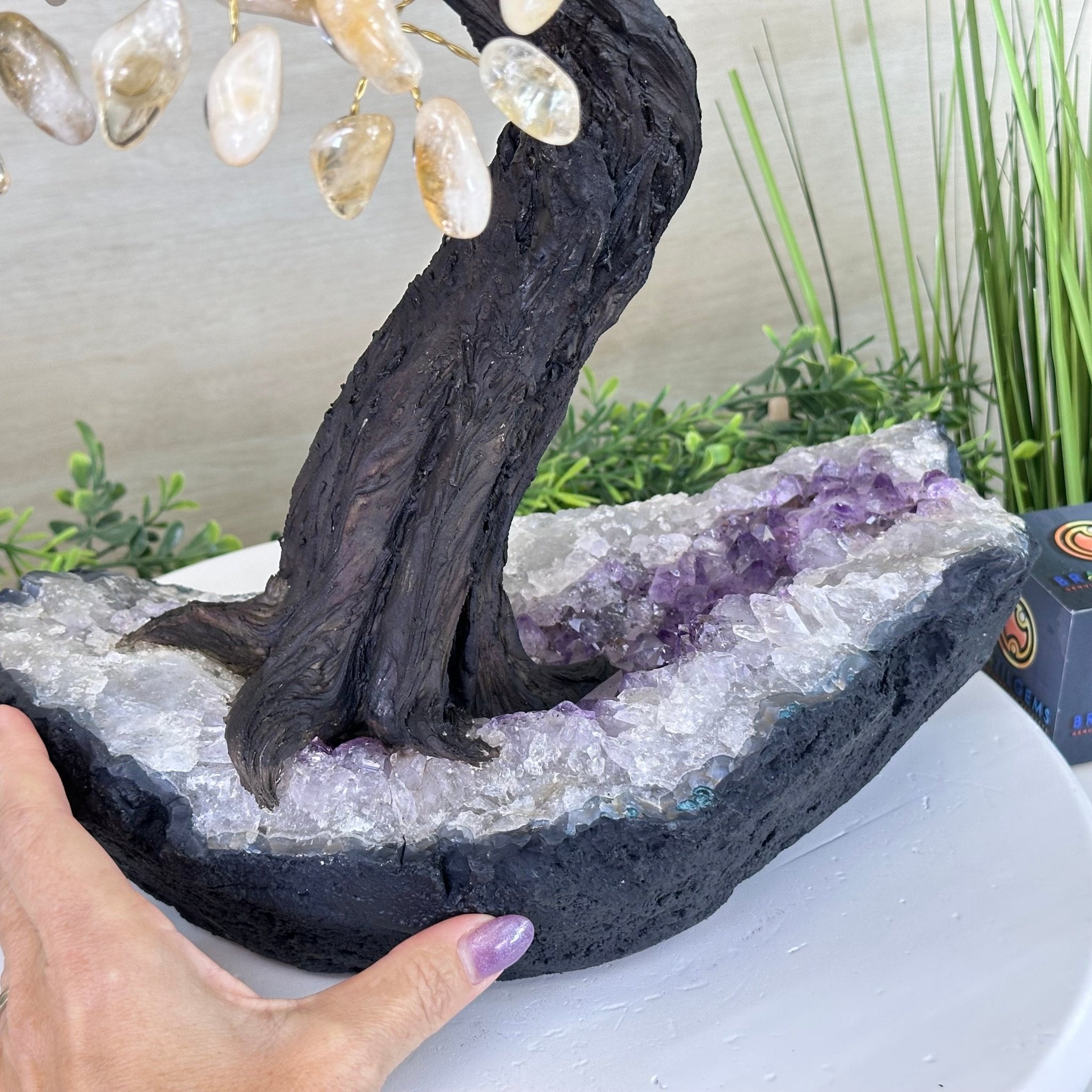 21.75" Tall Citrine Gemstone Tree on an Amethyst Base, 540 gems #5406CI - 023 - Brazil GemsBrazil Gems21.75" Tall Citrine Gemstone Tree on an Amethyst Base, 540 gems #5406CI - 023Gemstone Trees5406CI - 023