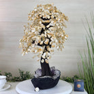 21.75" Tall Citrine Gemstone Tree on an Amethyst Base, 540 gems #5406CI - 023 - Brazil GemsBrazil Gems21.75" Tall Citrine Gemstone Tree on an Amethyst Base, 540 gems #5406CI - 023Gemstone Trees5406CI - 023