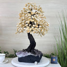 21.75" Tall Citrine Gemstone Tree on an Amethyst Base, 540 gems #5406CI - 024 - Brazil GemsBrazil Gems21.75" Tall Citrine Gemstone Tree on an Amethyst Base, 540 gems #5406CI - 024Gemstone Trees5406CI - 024