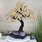 21.75" Tall Citrine Gemstone Tree on an Amethyst Base, 540 gems #5406CI - 024 - Brazil GemsBrazil Gems21.75" Tall Citrine Gemstone Tree on an Amethyst Base, 540 gems #5406CI - 024Gemstone Trees5406CI - 024