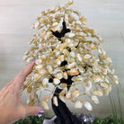 21.75" Tall Citrine Gemstone Tree on an Amethyst Base, 540 gems #5406CI - 024 - Brazil GemsBrazil Gems21.75" Tall Citrine Gemstone Tree on an Amethyst Base, 540 gems #5406CI - 024Gemstone Trees5406CI - 024