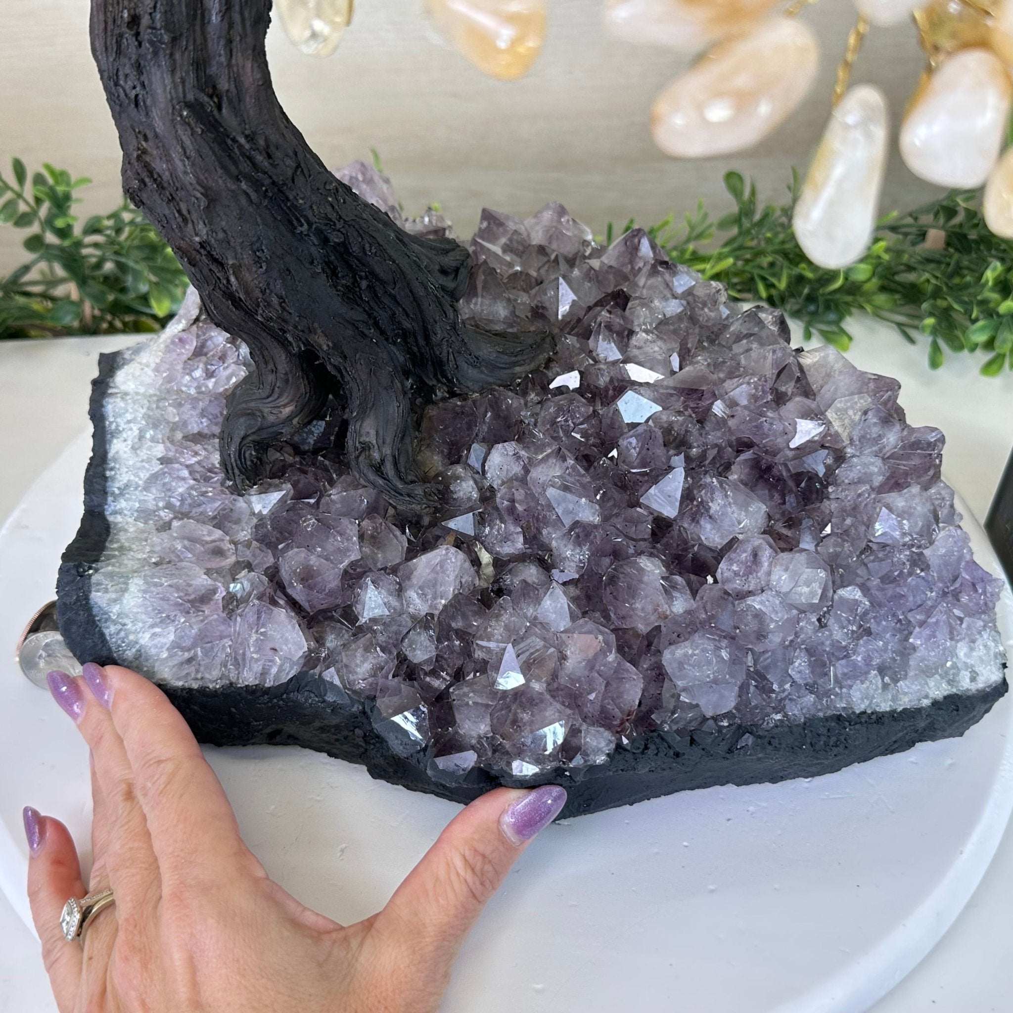 21.75" Tall Citrine Gemstone Tree on an Amethyst Base, 540 gems #5406CI - 024 - Brazil GemsBrazil Gems21.75" Tall Citrine Gemstone Tree on an Amethyst Base, 540 gems #5406CI - 024Gemstone Trees5406CI - 024