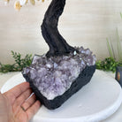 21.75" Tall Citrine Gemstone Tree on an Amethyst Base, 540 gems #5406CI - 024 - Brazil GemsBrazil Gems21.75" Tall Citrine Gemstone Tree on an Amethyst Base, 540 gems #5406CI - 024Gemstone Trees5406CI - 024