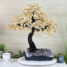 21.75" Tall Citrine Gemstone Tree on an Amethyst Base, 540 gems #5406CI - 024 - Brazil GemsBrazil Gems21.75" Tall Citrine Gemstone Tree on an Amethyst Base, 540 gems #5406CI - 024Gemstone Trees5406CI - 024