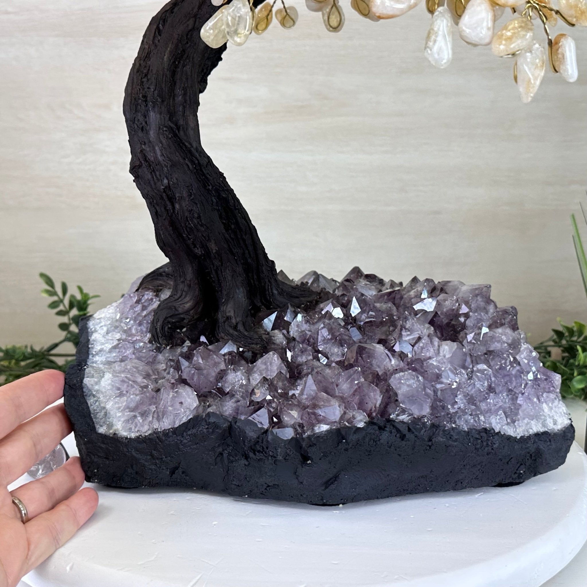 21.75" Tall Citrine Gemstone Tree on an Amethyst Base, 540 gems #5406CI - 024 - Brazil GemsBrazil Gems21.75" Tall Citrine Gemstone Tree on an Amethyst Base, 540 gems #5406CI - 024Gemstone Trees5406CI - 024