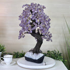 21.8" Tall Amethyst Gemstone Tree on an Amethyst base, 540 gems #5406AM - 040 - Brazil GemsBrazil Gems21.8" Tall Amethyst Gemstone Tree on an Amethyst base, 540 gems #5406AM - 040Gemstone Trees5406AM - 040