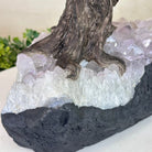 21.8" Tall Amethyst Gemstone Tree on an Amethyst base, 540 gems #5406AM - 040 - Brazil GemsBrazil Gems21.8" Tall Amethyst Gemstone Tree on an Amethyst base, 540 gems #5406AM - 040Gemstone Trees5406AM - 040