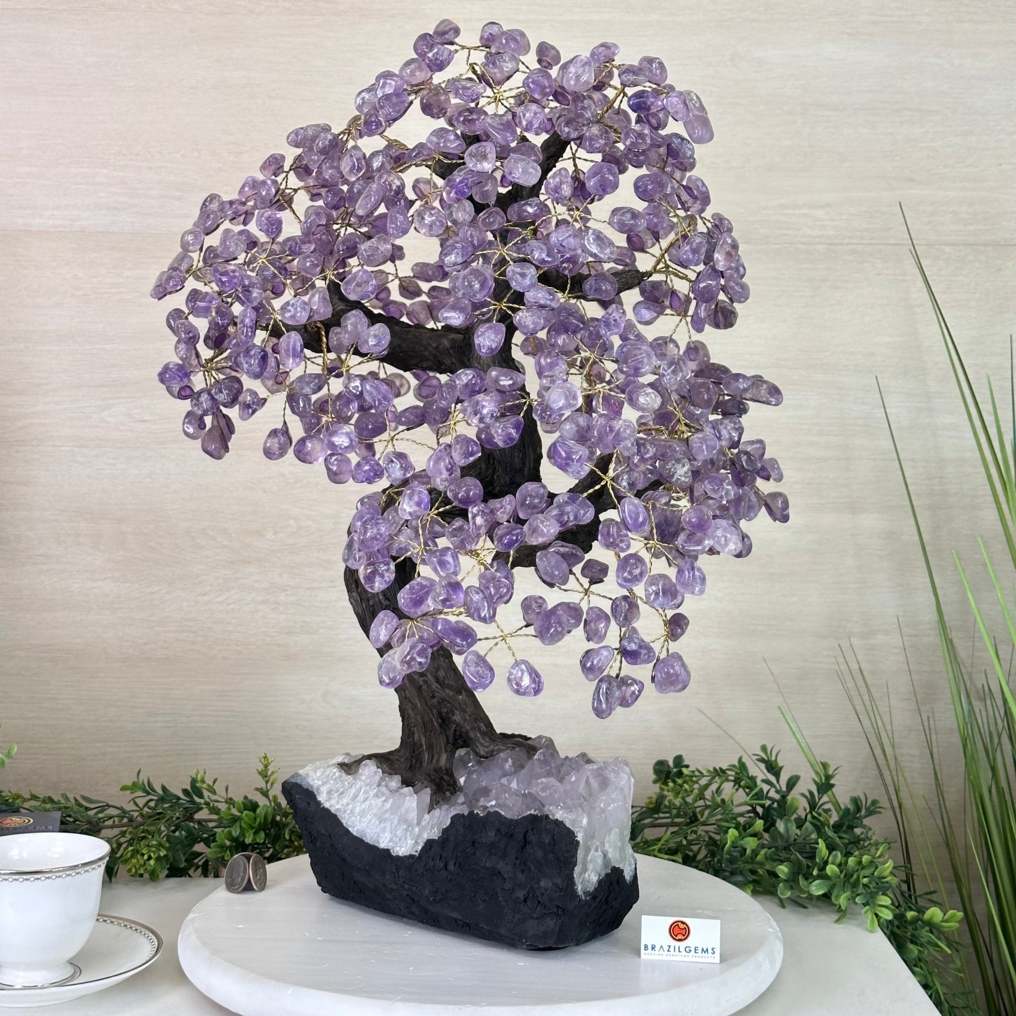 21.8" Tall Amethyst Gemstone Tree on an Amethyst base, 540 gems #5406AM - 040 - Brazil GemsBrazil Gems21.8" Tall Amethyst Gemstone Tree on an Amethyst base, 540 gems #5406AM - 040Gemstone Trees5406AM - 040