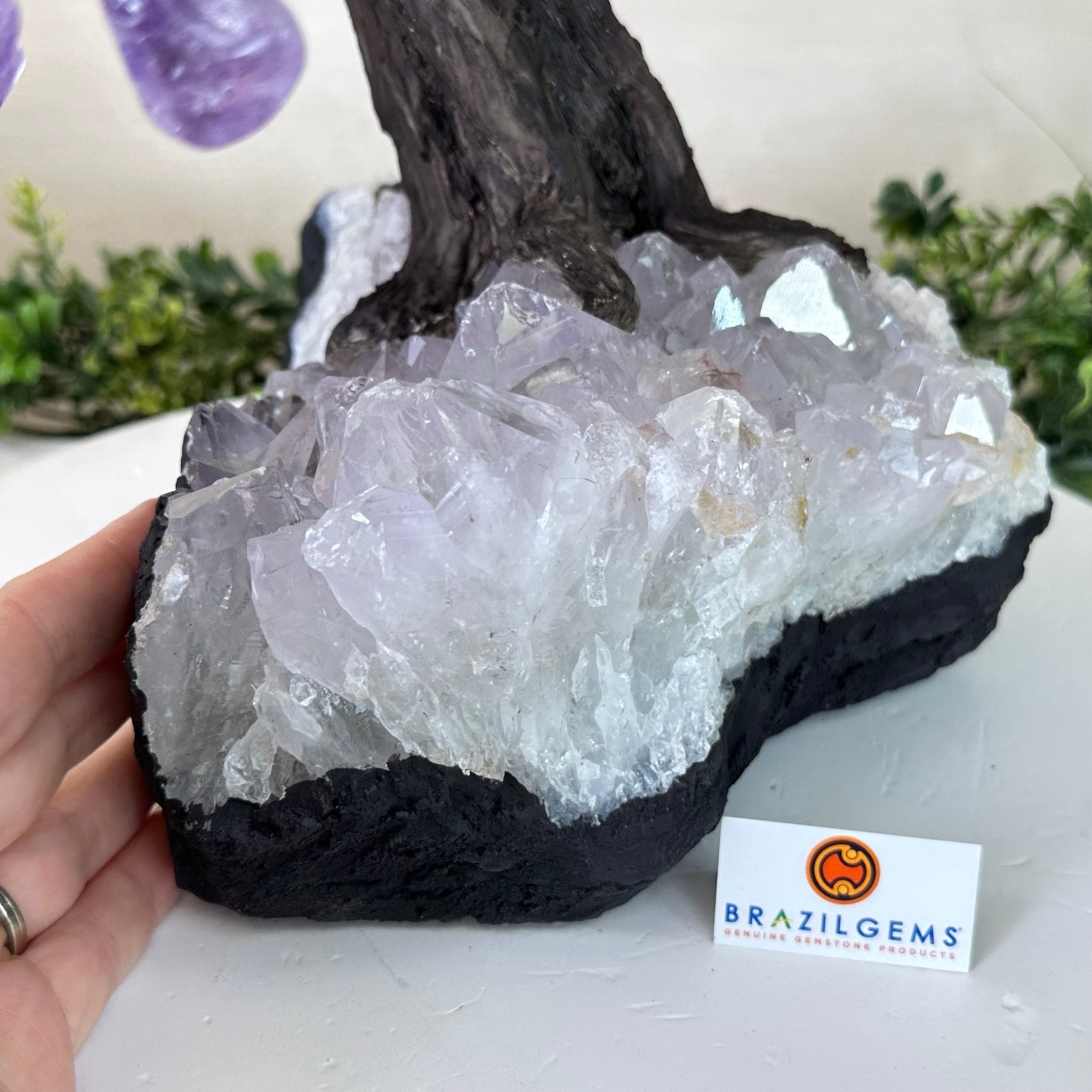 21.8" Tall Amethyst Gemstone Tree on an Amethyst base, 540 gems #5406AM - 040 - Brazil GemsBrazil Gems21.8" Tall Amethyst Gemstone Tree on an Amethyst base, 540 gems #5406AM - 040Gemstone Trees5406AM - 040