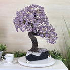 21.8" Tall Amethyst Gemstone Tree on an Amethyst base, 540 gems #5406AM - 040 - Brazil GemsBrazil Gems21.8" Tall Amethyst Gemstone Tree on an Amethyst base, 540 gems #5406AM - 040Gemstone Trees5406AM - 040