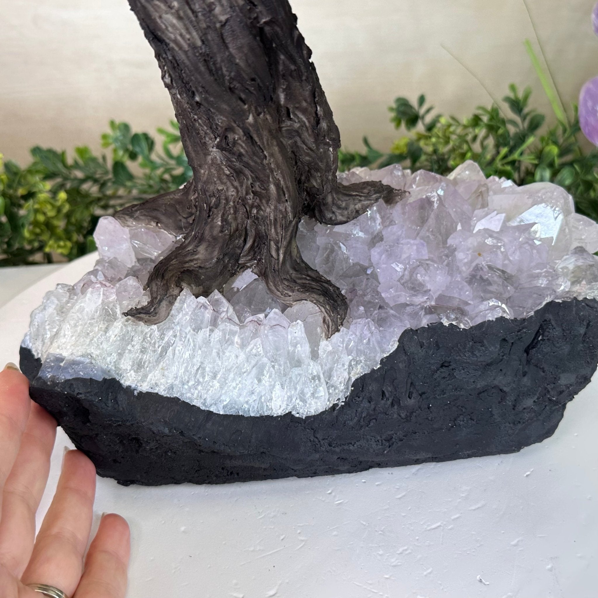 21.8" Tall Amethyst Gemstone Tree on an Amethyst base, 540 gems #5406AM - 040 - Brazil GemsBrazil Gems21.8" Tall Amethyst Gemstone Tree on an Amethyst base, 540 gems #5406AM - 040Gemstone Trees5406AM - 040