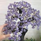 21.8" Tall Amethyst Gemstone Tree on an Amethyst base, 540 gems #5406AM - 040 - Brazil GemsBrazil Gems21.8" Tall Amethyst Gemstone Tree on an Amethyst base, 540 gems #5406AM - 040Gemstone Trees5406AM - 040