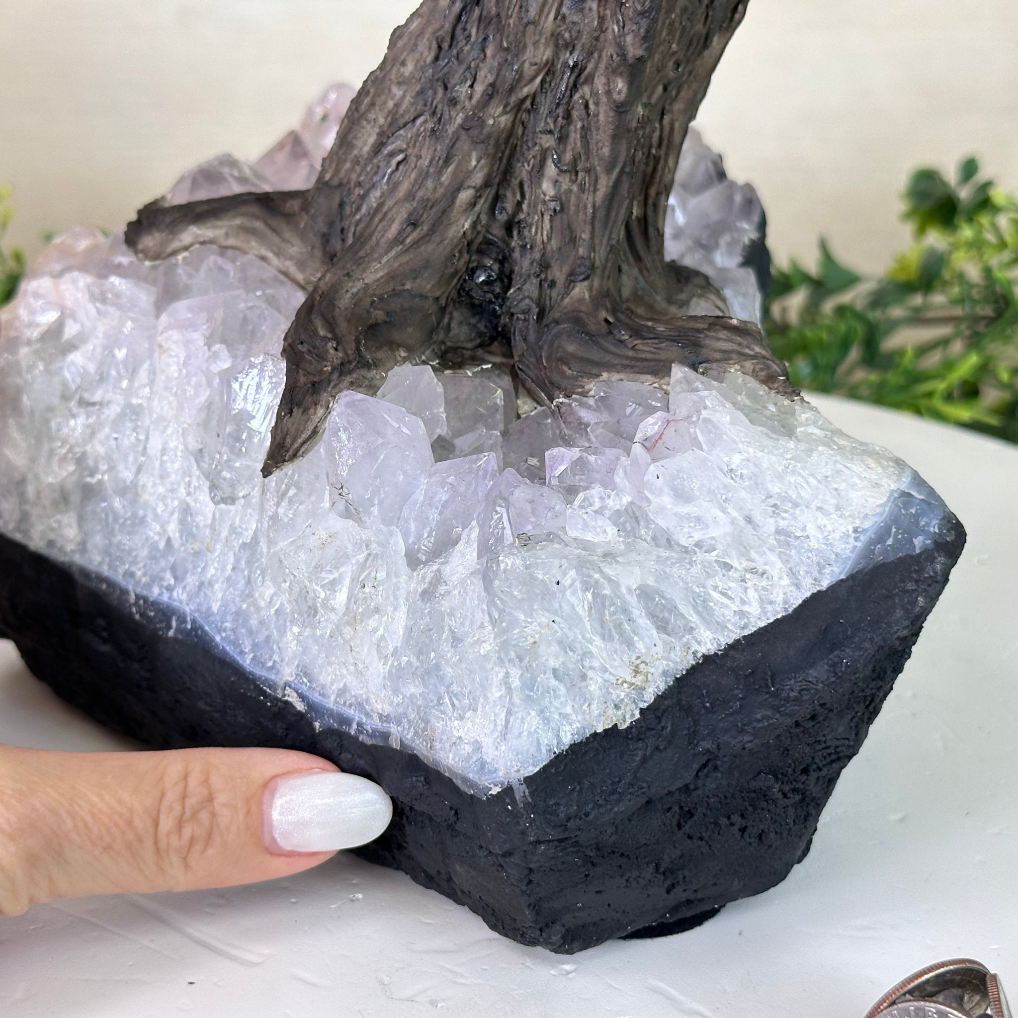 21.8" Tall Amethyst Gemstone Tree on an Amethyst base, 540 gems #5406AM - 040 - Brazil GemsBrazil Gems21.8" Tall Amethyst Gemstone Tree on an Amethyst base, 540 gems #5406AM - 040Gemstone Trees5406AM - 040