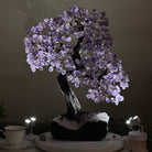 21.8" Tall Amethyst Gemstone Tree on an Amethyst base, 540 gems #5406AM - 040 - Brazil GemsBrazil Gems21.8" Tall Amethyst Gemstone Tree on an Amethyst base, 540 gems #5406AM - 040Gemstone Trees5406AM - 040