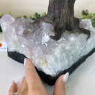 21.8" Tall Amethyst Gemstone Tree on an Amethyst base, 540 gems #5406AM - 040 - Brazil GemsBrazil Gems21.8" Tall Amethyst Gemstone Tree on an Amethyst base, 540 gems #5406AM - 040Gemstone Trees5406AM - 040