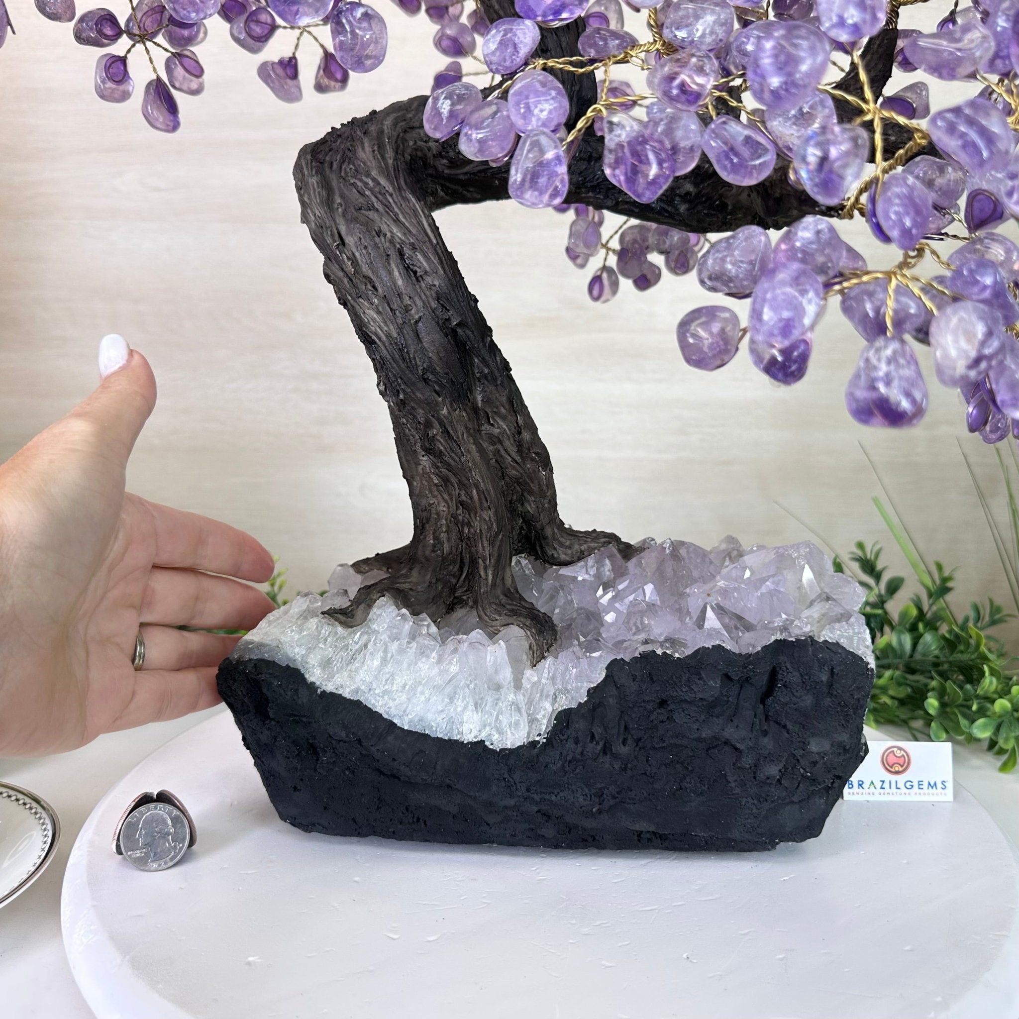 21.8" Tall Amethyst Gemstone Tree on an Amethyst base, 540 gems #5406AM - 040 - Brazil GemsBrazil Gems21.8" Tall Amethyst Gemstone Tree on an Amethyst base, 540 gems #5406AM - 040Gemstone Trees5406AM - 040