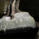 22" Tall Amethyst Gemstone Tree on an Amethyst base, 540 gems #5406AM-043 - Brazil GemsBrazil Gems22" Tall Amethyst Gemstone Tree on an Amethyst base, 540 gems #5406AM-043Gemstone Trees5406AM-043