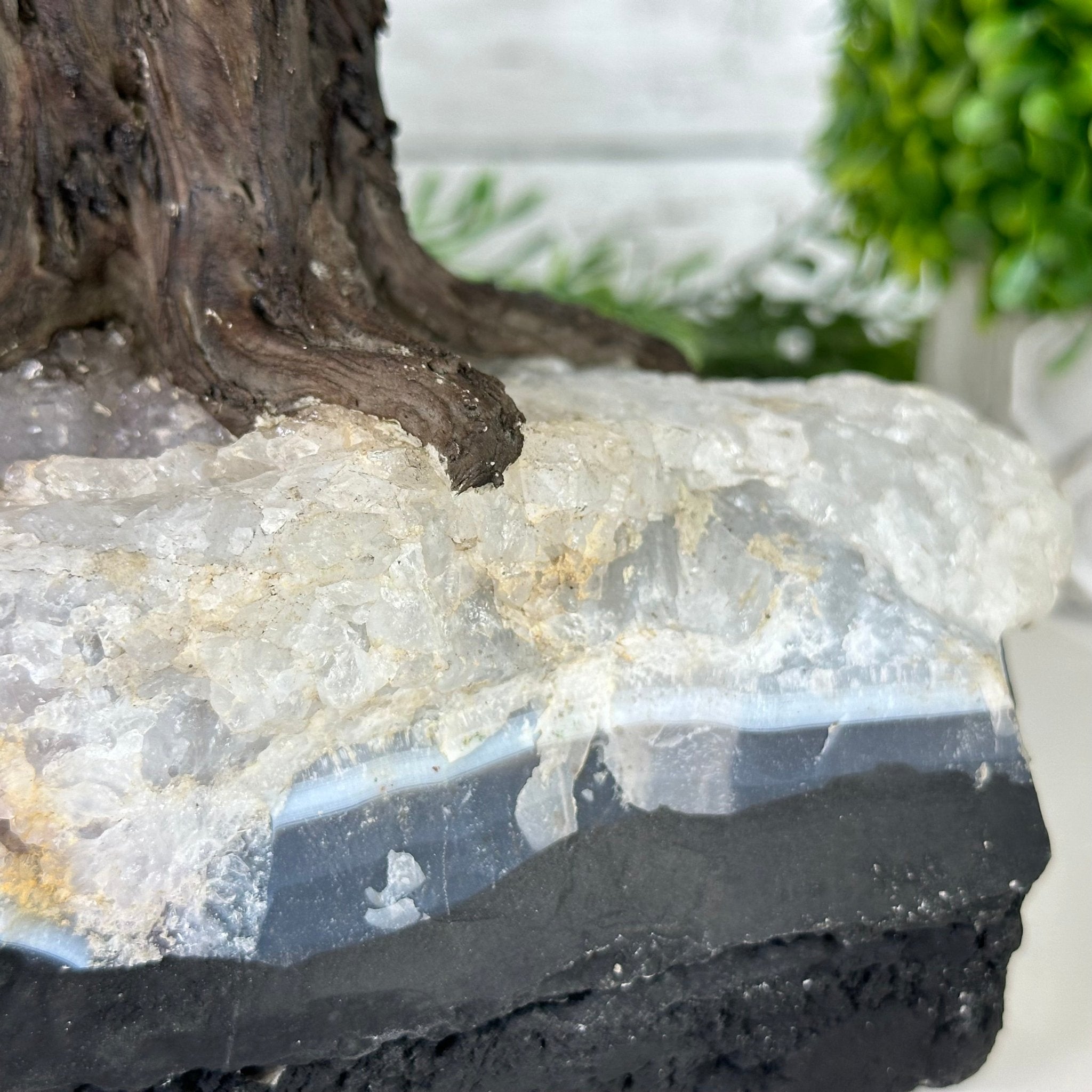22" Tall Amethyst Gemstone Tree on an Amethyst base, 540 gems #5406AM-043 - Brazil GemsBrazil Gems22" Tall Amethyst Gemstone Tree on an Amethyst base, 540 gems #5406AM-043Gemstone Trees5406AM-043