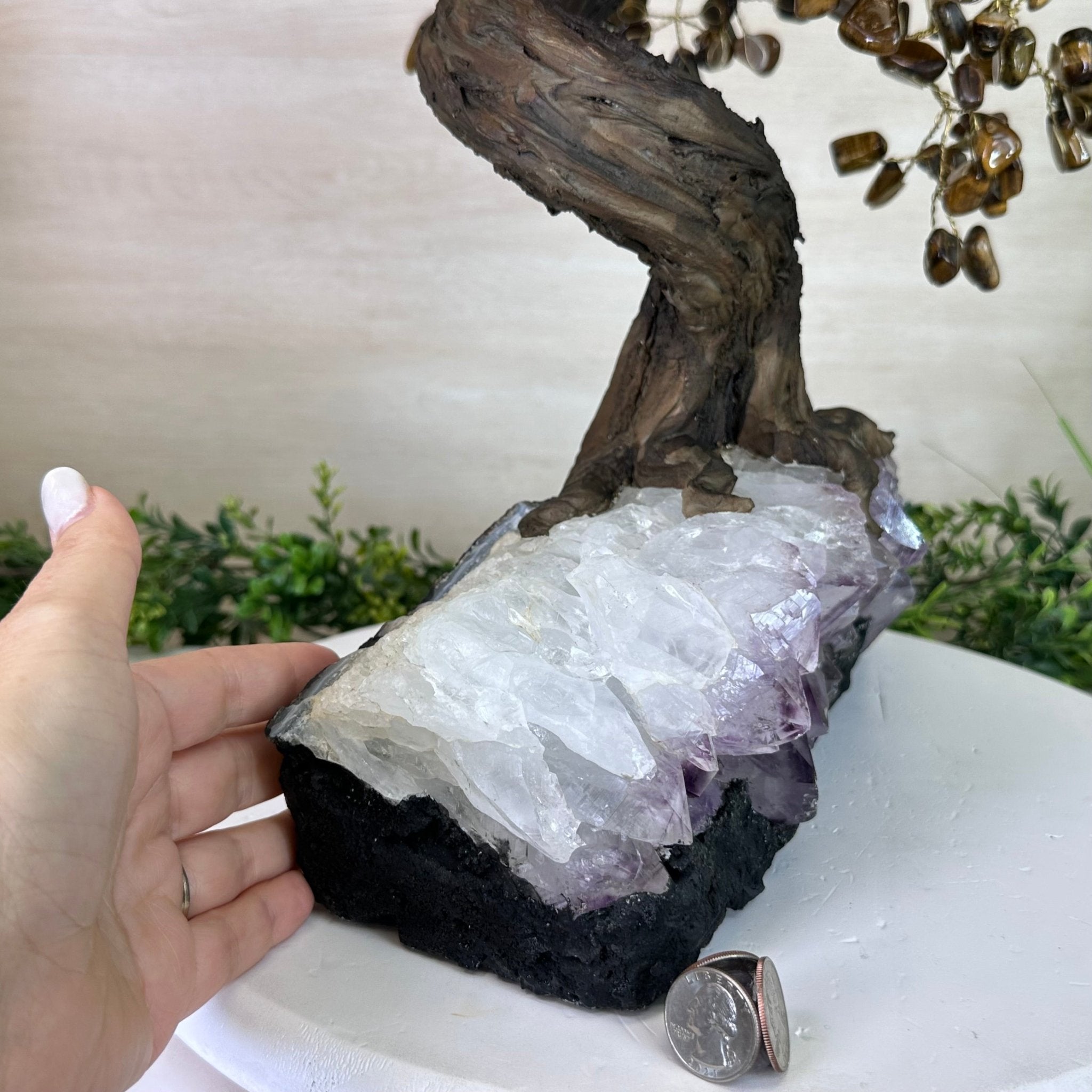 22" Tall Tiger's Eye Gemstone Tree on an Amethyst base, 540 gems #5406TE - 004 - Brazil GemsBrazil Gems22" Tall Tiger's Eye Gemstone Tree on an Amethyst base, 540 gems #5406TE - 004Gemstone Trees5406TE - 004