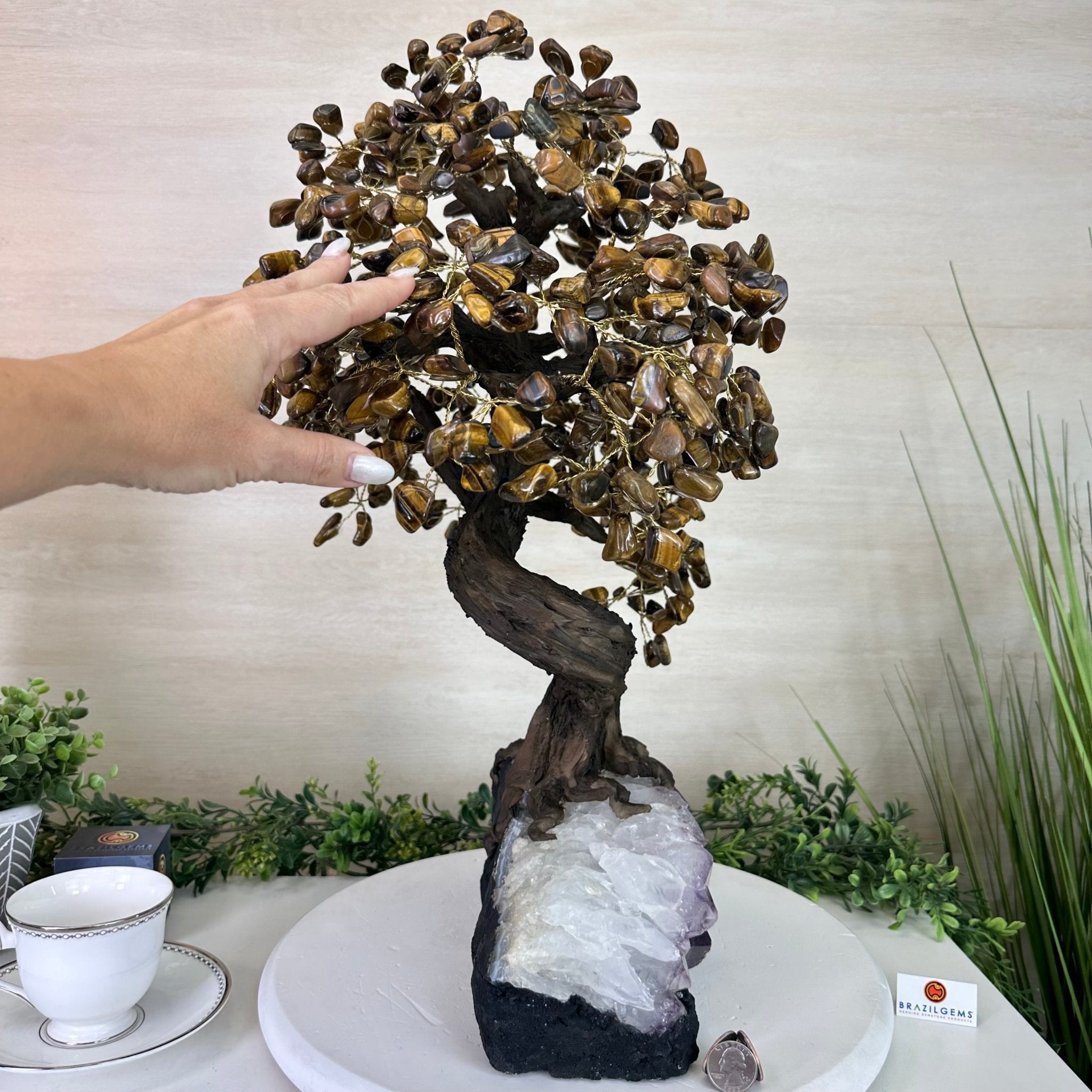 22" Tall Tiger's Eye Gemstone Tree on an Amethyst base, 540 gems #5406TE - 004 - Brazil GemsBrazil Gems22" Tall Tiger's Eye Gemstone Tree on an Amethyst base, 540 gems #5406TE - 004Gemstone Trees5406TE - 004