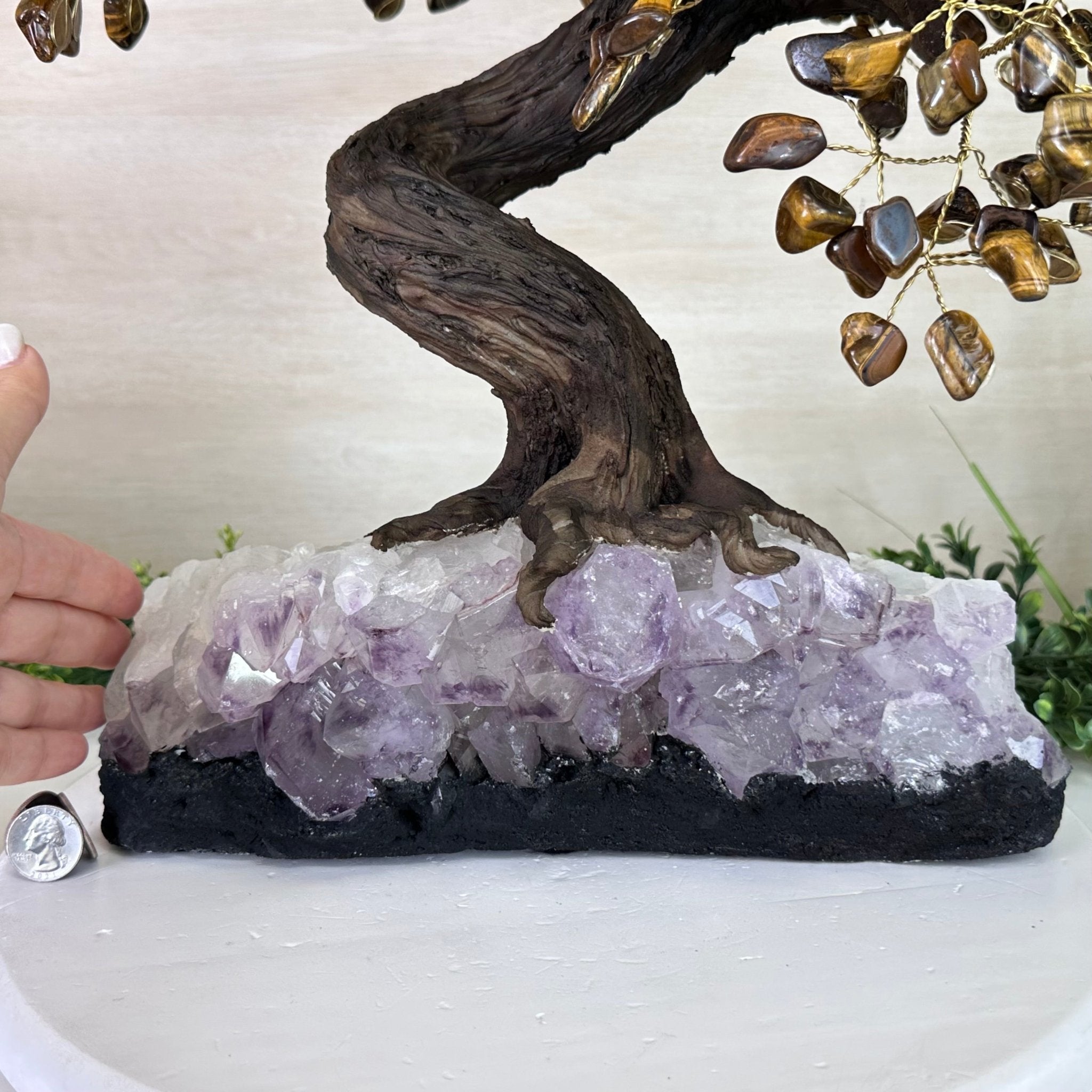 22" Tall Tiger's Eye Gemstone Tree on an Amethyst base, 540 gems #5406TE - 004 - Brazil GemsBrazil Gems22" Tall Tiger's Eye Gemstone Tree on an Amethyst base, 540 gems #5406TE - 004Gemstone Trees5406TE - 004