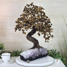 22" Tall Tiger's Eye Gemstone Tree on an Amethyst base, 540 gems #5406TE - 004 - Brazil GemsBrazil Gems22" Tall Tiger's Eye Gemstone Tree on an Amethyst base, 540 gems #5406TE - 004Gemstone Trees5406TE - 004