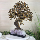 22" Tall Tiger's Eye Gemstone Tree on an Amethyst base, 540 gems #5406TE - 004 - Brazil GemsBrazil Gems22" Tall Tiger's Eye Gemstone Tree on an Amethyst base, 540 gems #5406TE - 004Gemstone Trees5406TE - 004