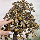 22" Tall Tiger's Eye Gemstone Tree on an Amethyst base, 540 gems #5406TE - 004 - Brazil GemsBrazil Gems22" Tall Tiger's Eye Gemstone Tree on an Amethyst base, 540 gems #5406TE - 004Gemstone Trees5406TE - 004