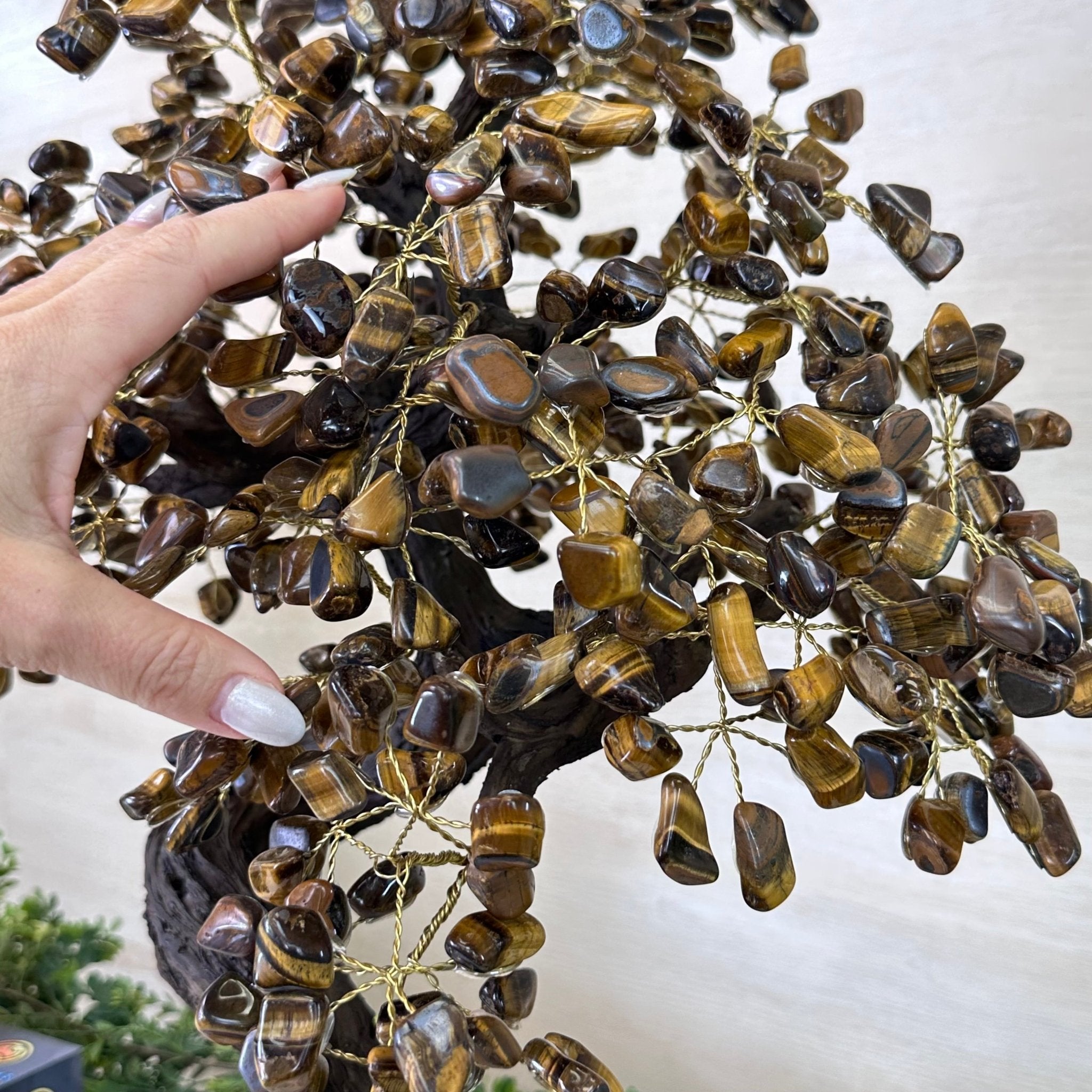 22" Tall Tiger's Eye Gemstone Tree on an Amethyst base, 540 gems #5406TE - 004 - Brazil GemsBrazil Gems22" Tall Tiger's Eye Gemstone Tree on an Amethyst base, 540 gems #5406TE - 004Gemstone Trees5406TE - 004