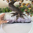 22" Tall Tiger's Eye Gemstone Tree on an Amethyst base, 540 gems #5406TE - 004 - Brazil GemsBrazil Gems22" Tall Tiger's Eye Gemstone Tree on an Amethyst base, 540 gems #5406TE - 004Gemstone Trees5406TE - 004