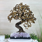 22" Tall Tiger's Eye Gemstone Tree on an Amethyst base, 540 gems #5406TE - 004 - Brazil GemsBrazil Gems22" Tall Tiger's Eye Gemstone Tree on an Amethyst base, 540 gems #5406TE - 004Gemstone Trees5406TE - 004