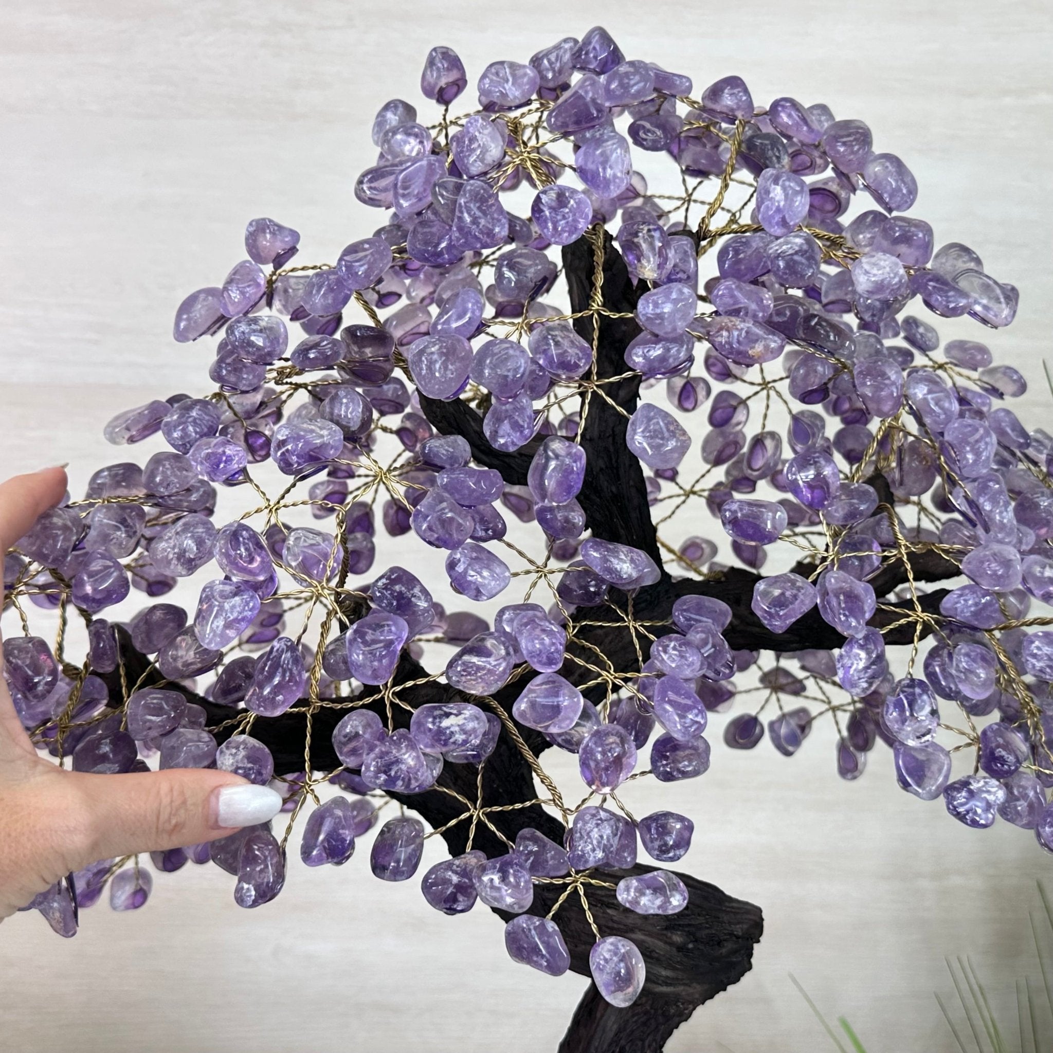 22.5" Tall Amethyst Gemstone Tree on an Amethyst base, 540 gems #5406AM - 044 - Brazil GemsBrazil Gems22.5" Tall Amethyst Gemstone Tree on an Amethyst base, 540 gems #5406AM - 044Gemstone Trees5406AM - 044