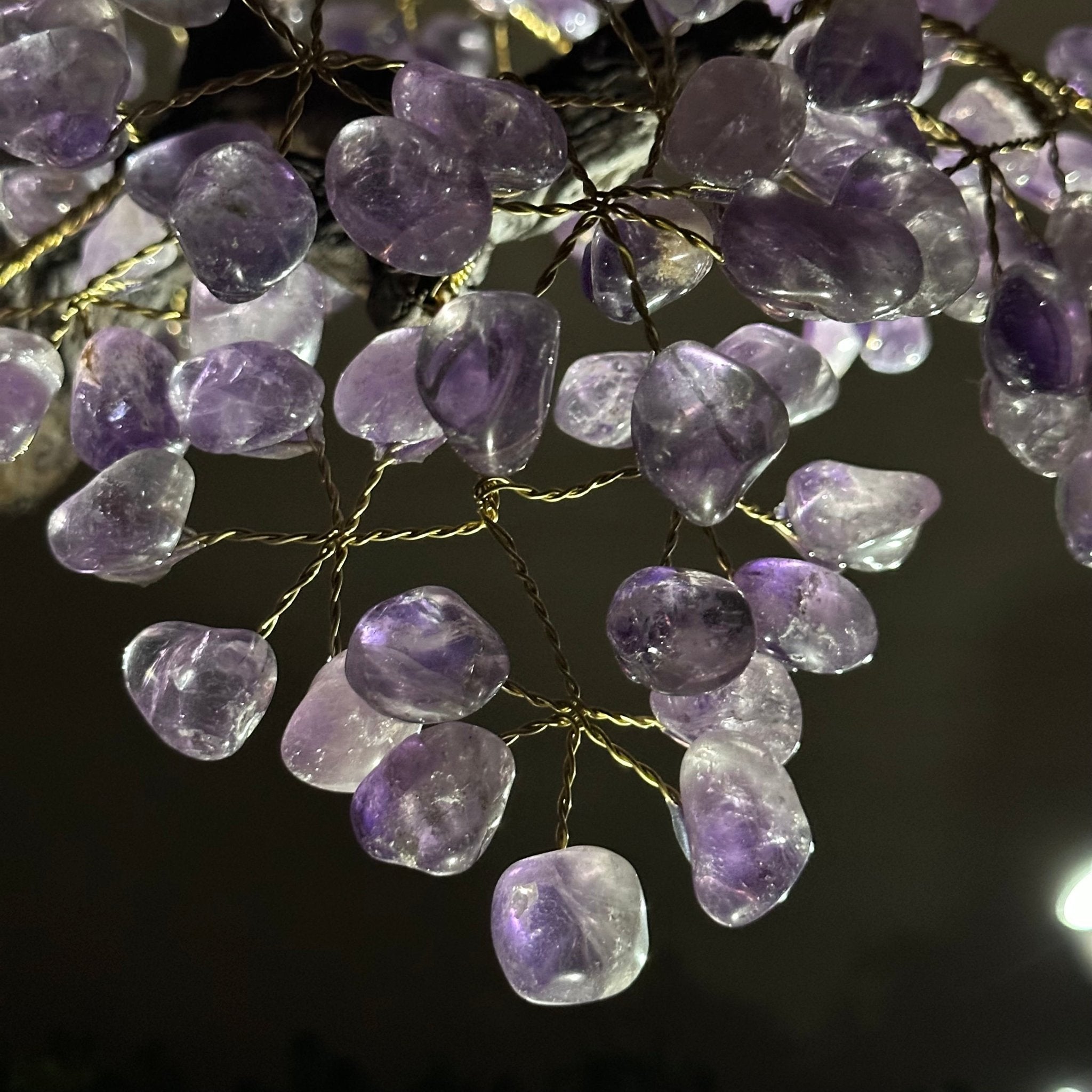 22.5" Tall Amethyst Gemstone Tree on an Amethyst base, 540 gems #5406AM - 044 - Brazil GemsBrazil Gems22.5" Tall Amethyst Gemstone Tree on an Amethyst base, 540 gems #5406AM - 044Gemstone Trees5406AM - 044