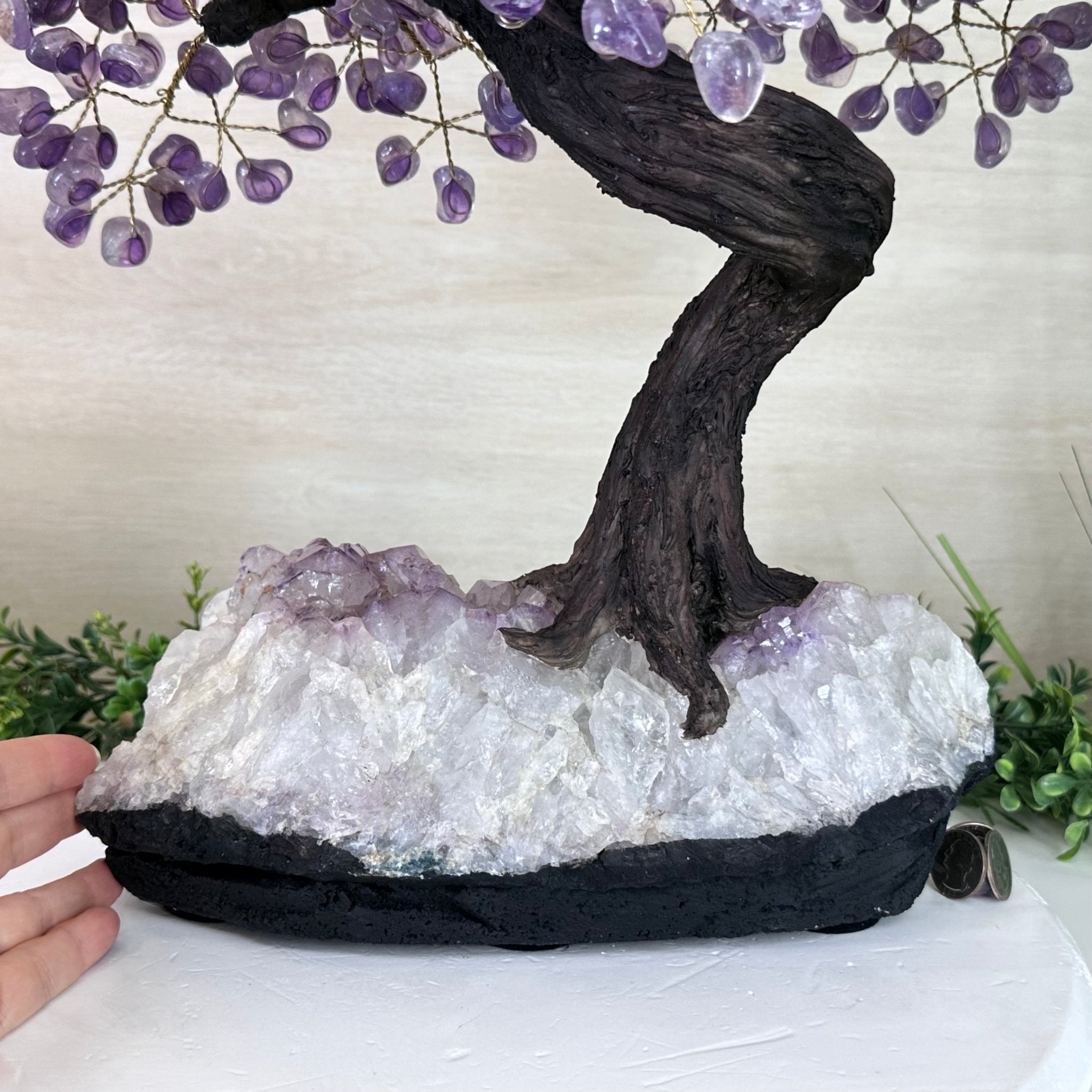 22.5" Tall Amethyst Gemstone Tree on an Amethyst base, 540 gems #5406AM - 044 - Brazil GemsBrazil Gems22.5" Tall Amethyst Gemstone Tree on an Amethyst base, 540 gems #5406AM - 044Gemstone Trees5406AM - 044