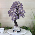 22.5" Tall Amethyst Gemstone Tree on an Amethyst base, 540 gems #5406AM - 044 - Brazil GemsBrazil Gems22.5" Tall Amethyst Gemstone Tree on an Amethyst base, 540 gems #5406AM - 044Gemstone Trees5406AM - 044