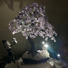 22.5" Tall Amethyst Gemstone Tree on an Amethyst base, 540 gems #5406AM - 044 - Brazil GemsBrazil Gems22.5" Tall Amethyst Gemstone Tree on an Amethyst base, 540 gems #5406AM - 044Gemstone Trees5406AM - 044