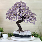 22.5" Tall Amethyst Gemstone Tree on an Amethyst base, 540 gems #5406AM - 044 - Brazil GemsBrazil Gems22.5" Tall Amethyst Gemstone Tree on an Amethyst base, 540 gems #5406AM - 044Gemstone Trees5406AM - 044