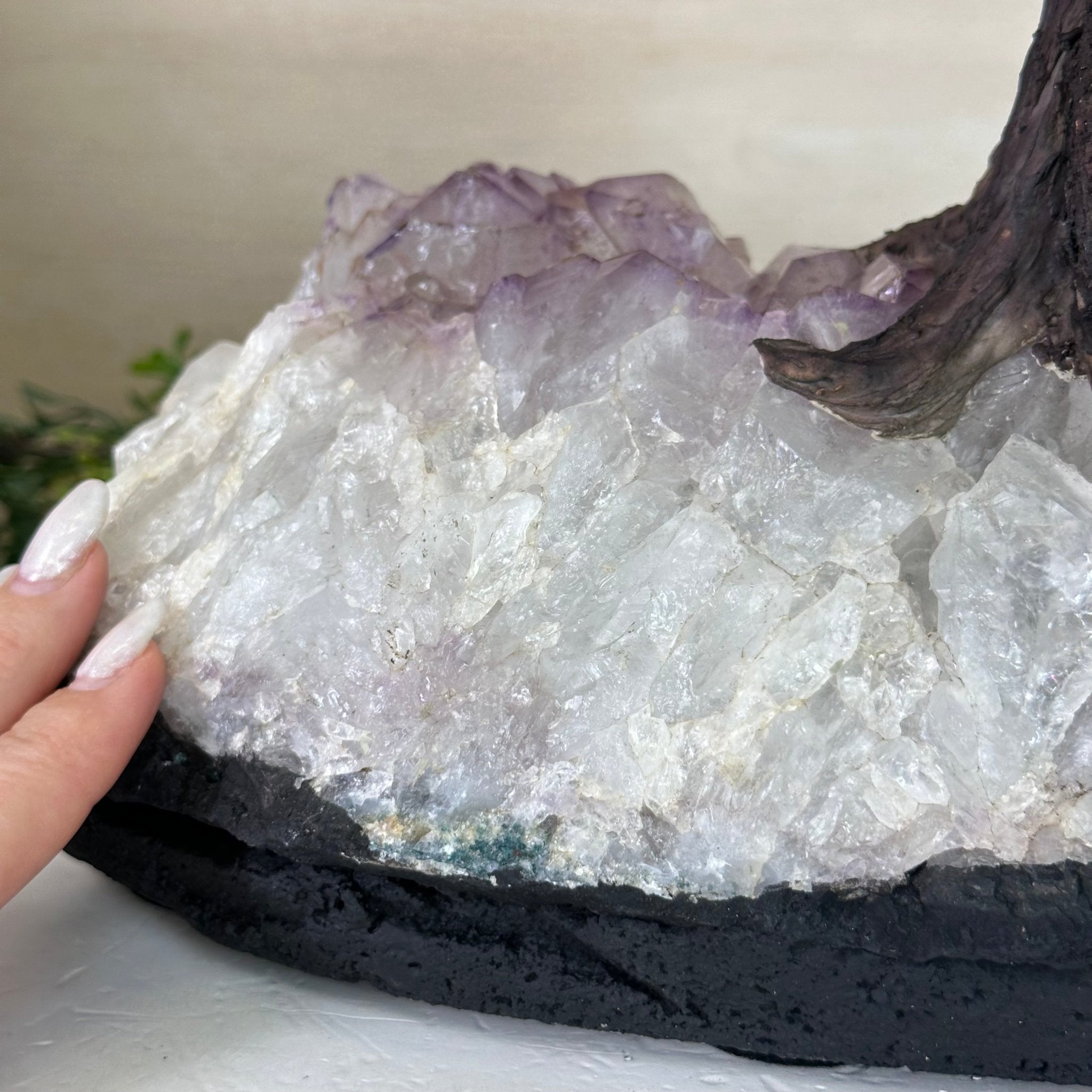 22.5" Tall Amethyst Gemstone Tree on an Amethyst base, 540 gems #5406AM - 044 - Brazil GemsBrazil Gems22.5" Tall Amethyst Gemstone Tree on an Amethyst base, 540 gems #5406AM - 044Gemstone Trees5406AM - 044