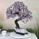 22.5" Tall Amethyst Gemstone Tree on an Amethyst base, 540 gems #5406AM - 044 - Brazil GemsBrazil Gems22.5" Tall Amethyst Gemstone Tree on an Amethyst base, 540 gems #5406AM - 044Gemstone Trees5406AM - 044