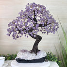 22.5" Tall Amethyst Gemstone Tree on an Amethyst base, 540 gems #5406AM - 044 - Brazil GemsBrazil Gems22.5" Tall Amethyst Gemstone Tree on an Amethyst base, 540 gems #5406AM - 044Gemstone Trees5406AM - 044